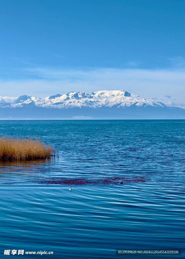 雪山  
