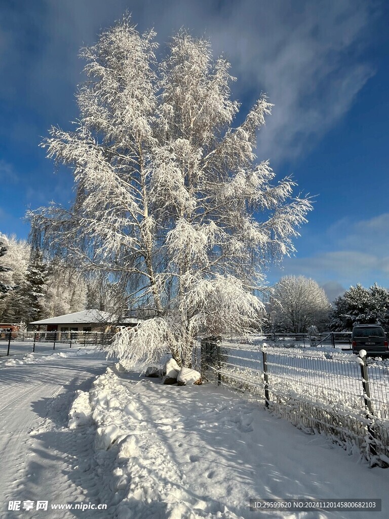 雪山 