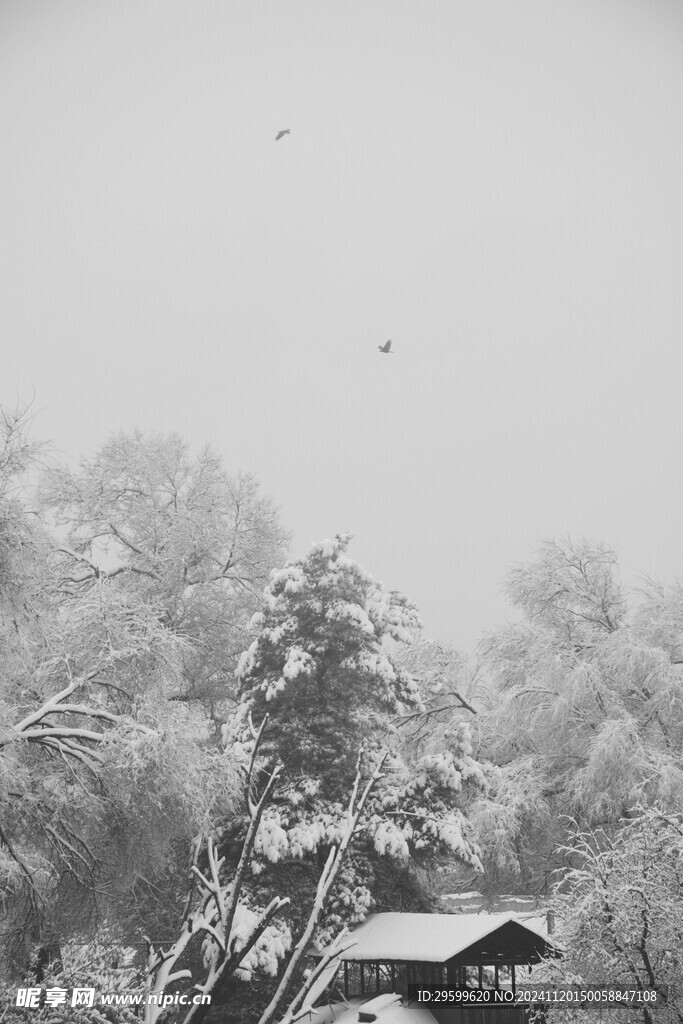 雪山  