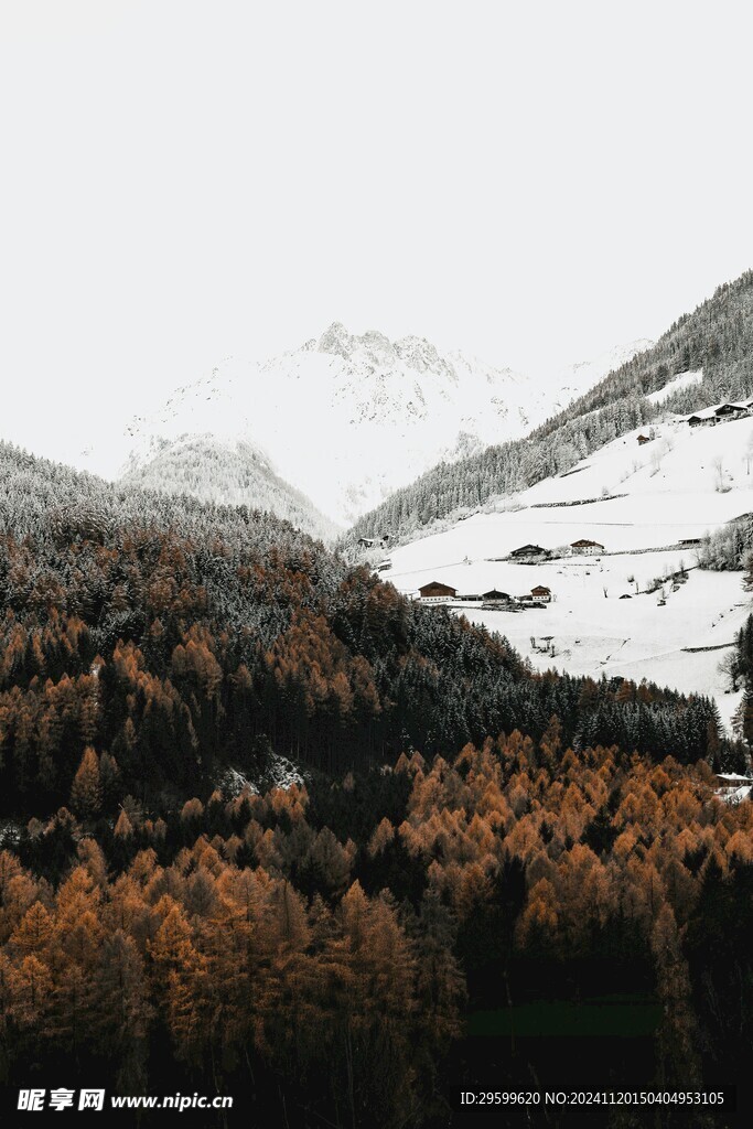 雪山  