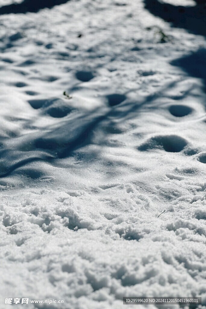 雪 