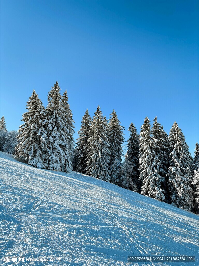 雪山 