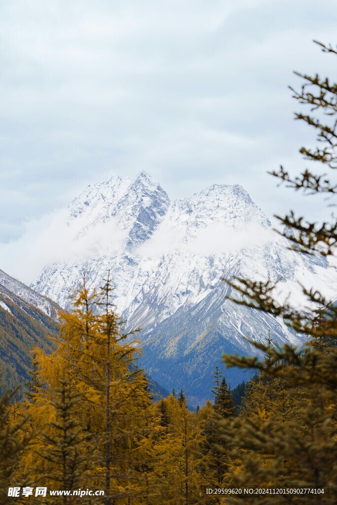 雪山  