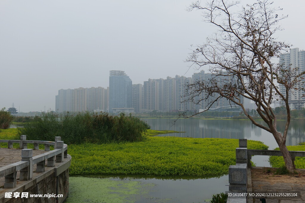 常德大小河街