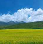 高山峻岭
