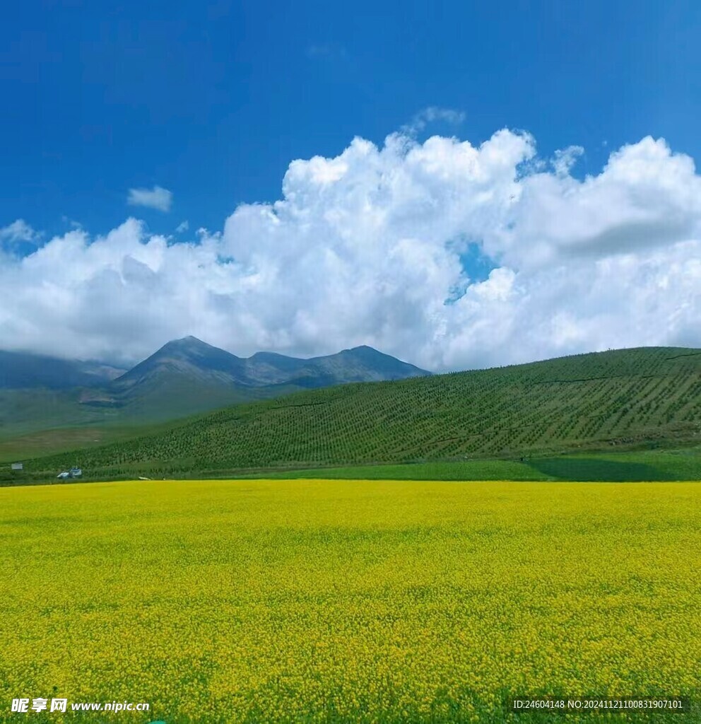 高山峻岭