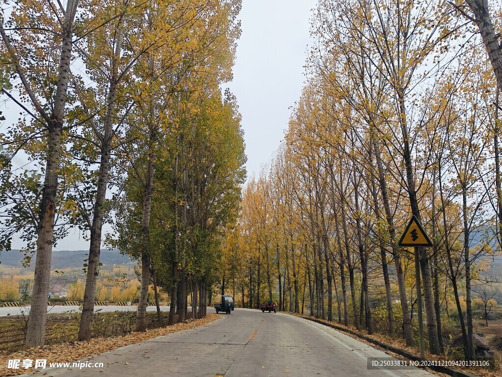 深秋的乡村道路  