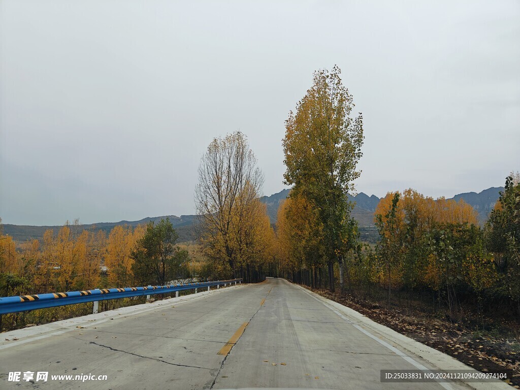 深秋的乡村道路 