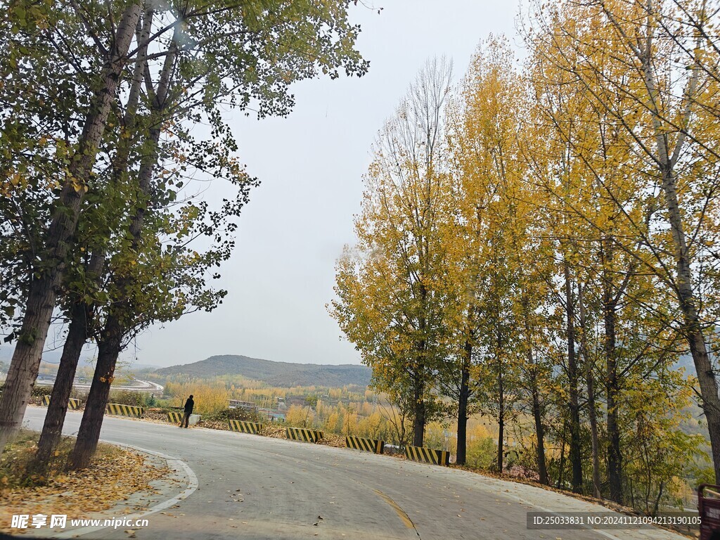 深秋的乡村道路 