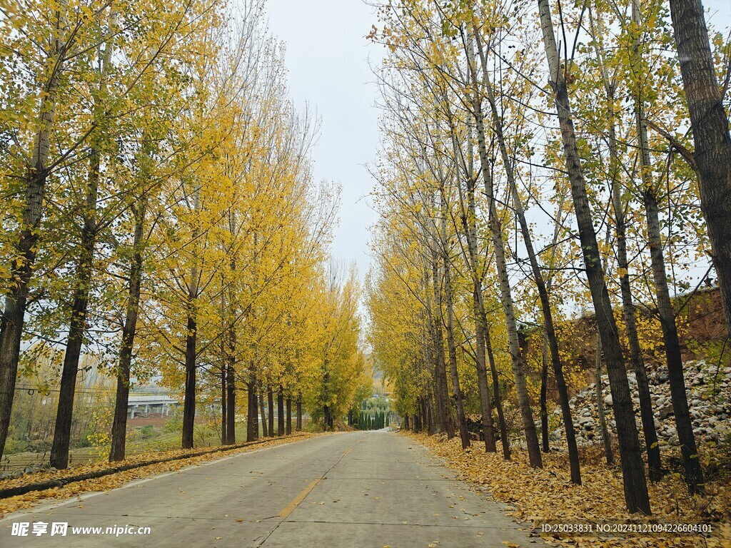 深秋的乡村道路