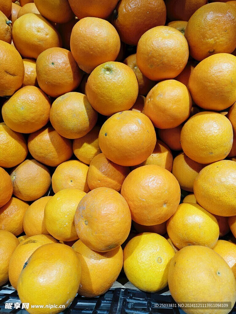   脐橙  