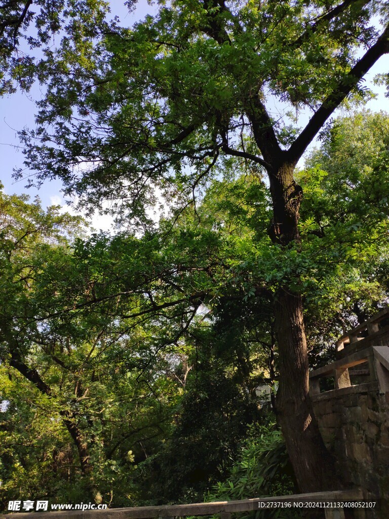 苏州园林