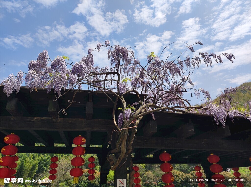 溧阳南山竹海