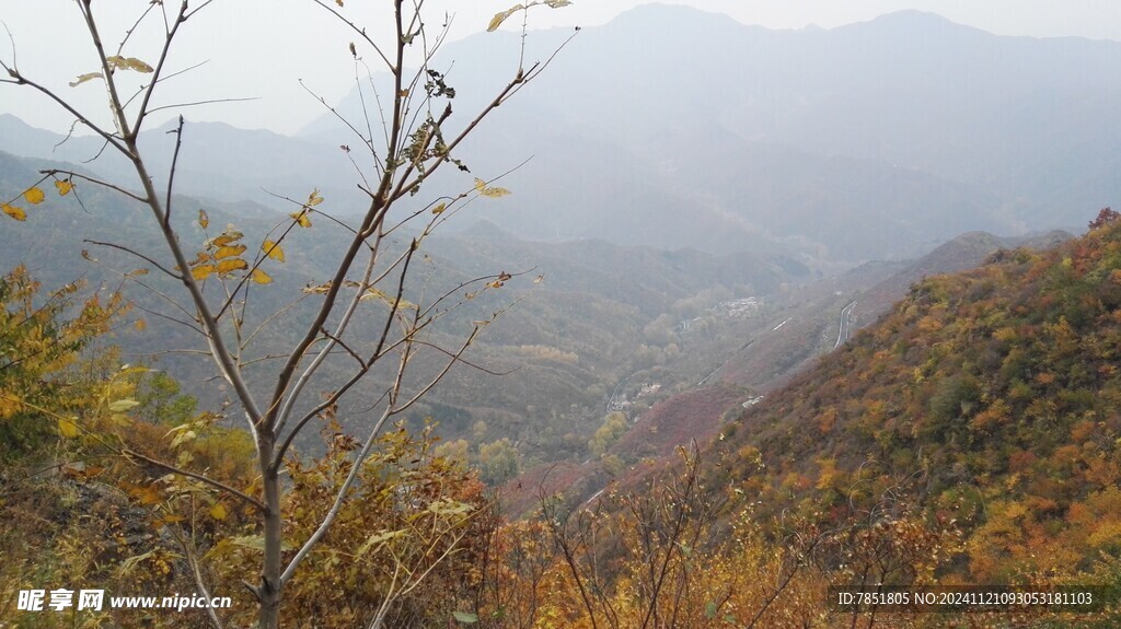 山沟里的公路