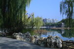 公园风景 