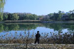 公园风景 