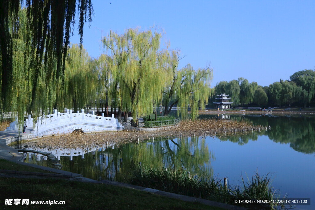 公园风景 