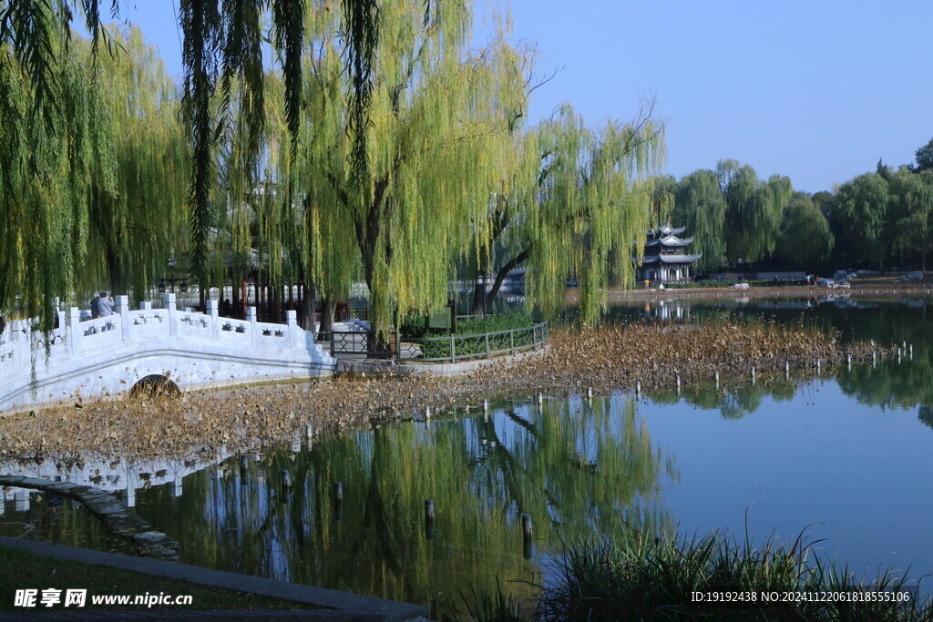 公园风景 