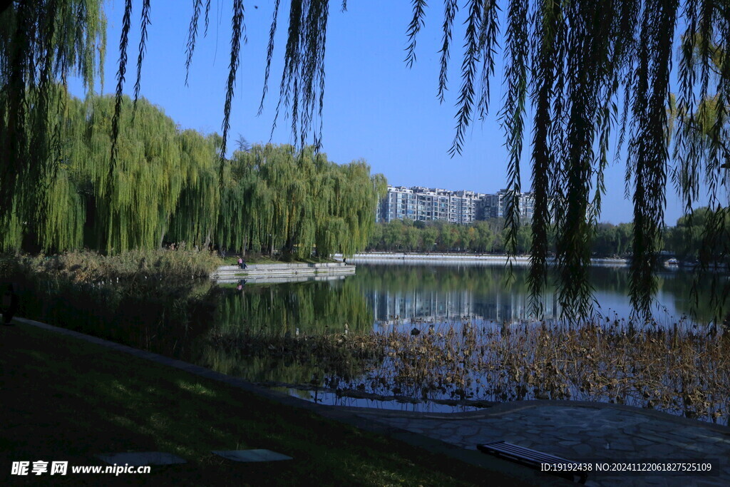 陶然亭风景 