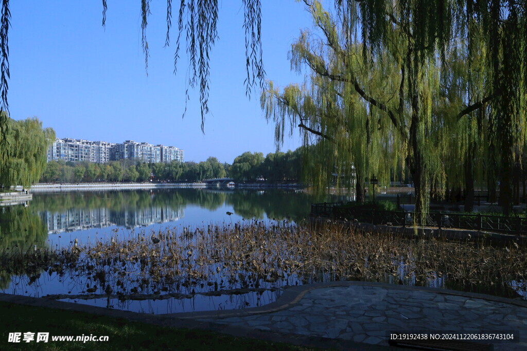 公园风景  