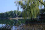 公园风景  