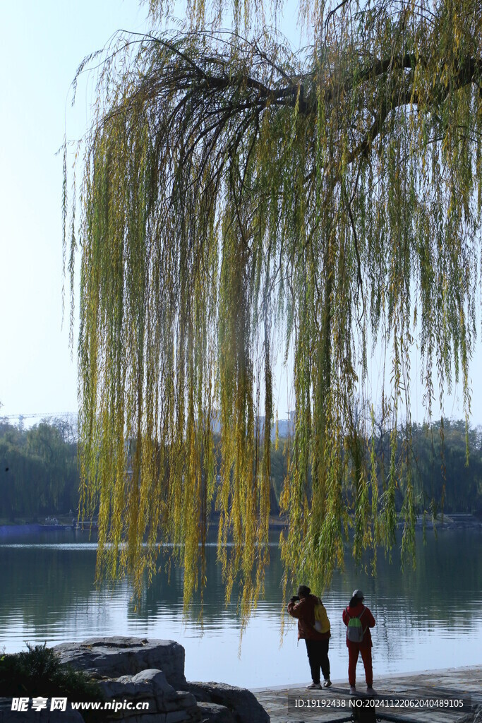 公园风景 