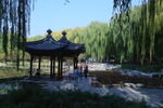 公园风景  