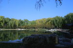 公园风景 