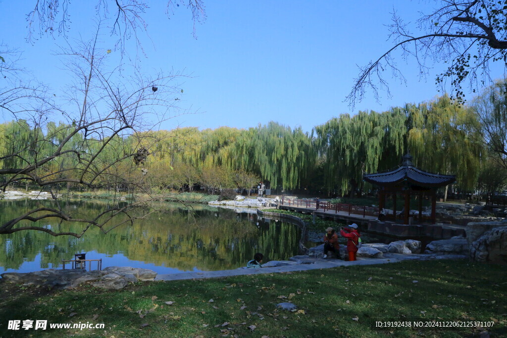 公园风景 