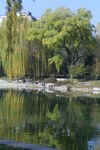 公园风景  