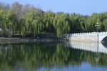 公园风景  