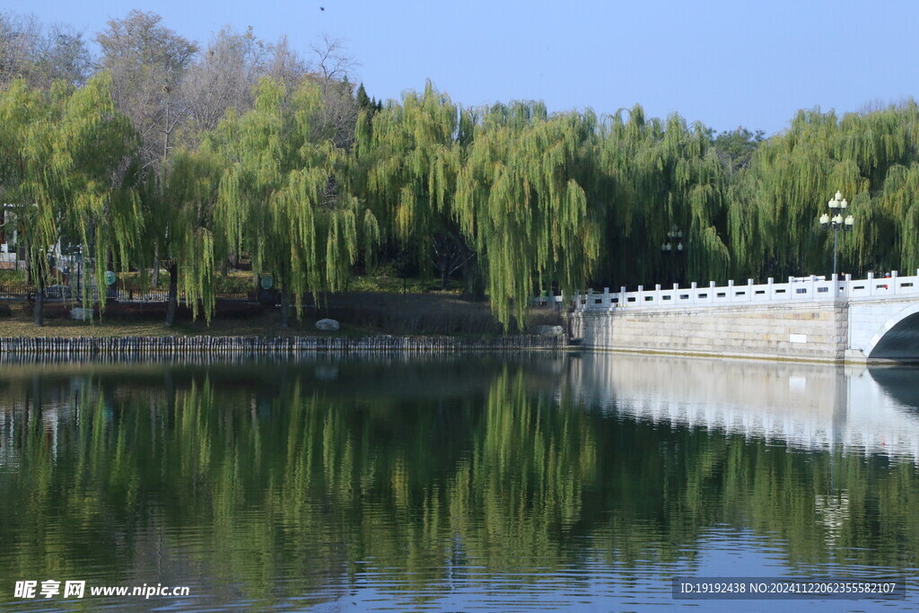 公园风景  