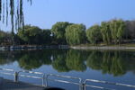 公园风景  