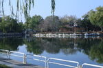 公园风景 