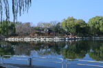 公园风景 