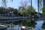 公园风景 