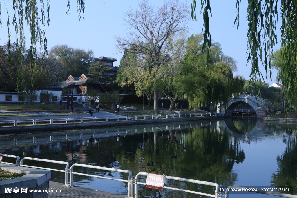 公园风景 