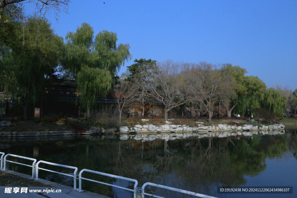 公园风景  