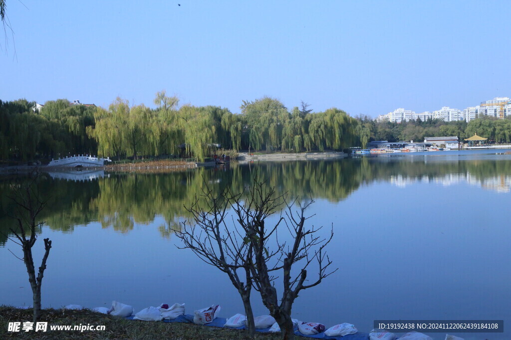 公园风景  