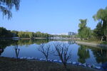 公园风景 
