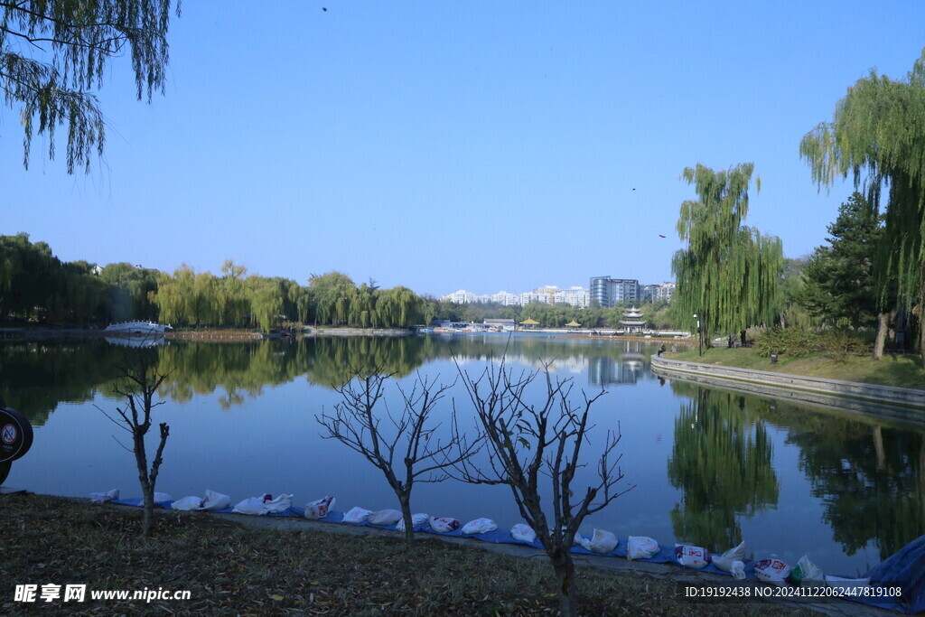 公园风景 