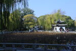 公园风景  