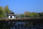 公园风景 
