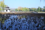 公园风景 