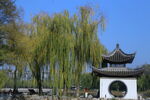 公园风景 