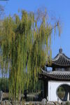 公园风景  