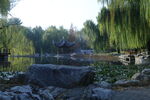 公园风景 