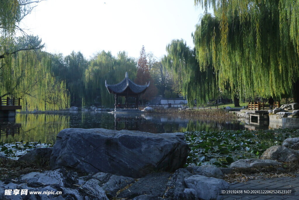 公园风景 
