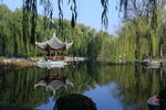 公园风景 