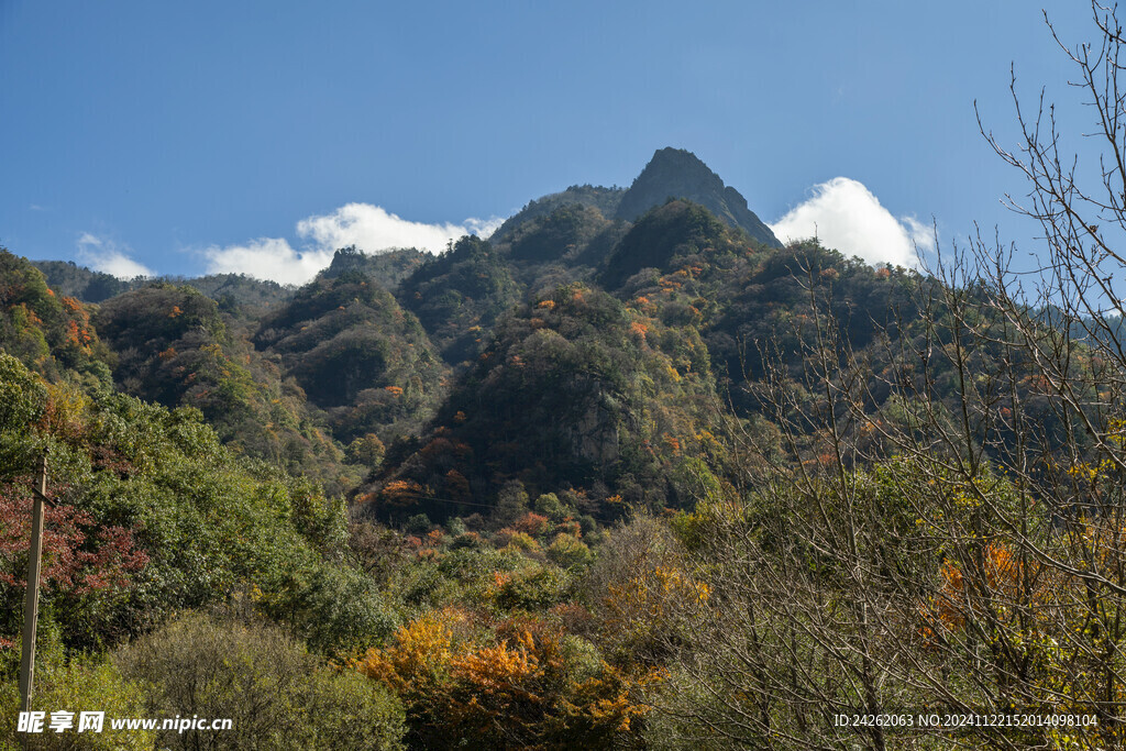 秦岭山